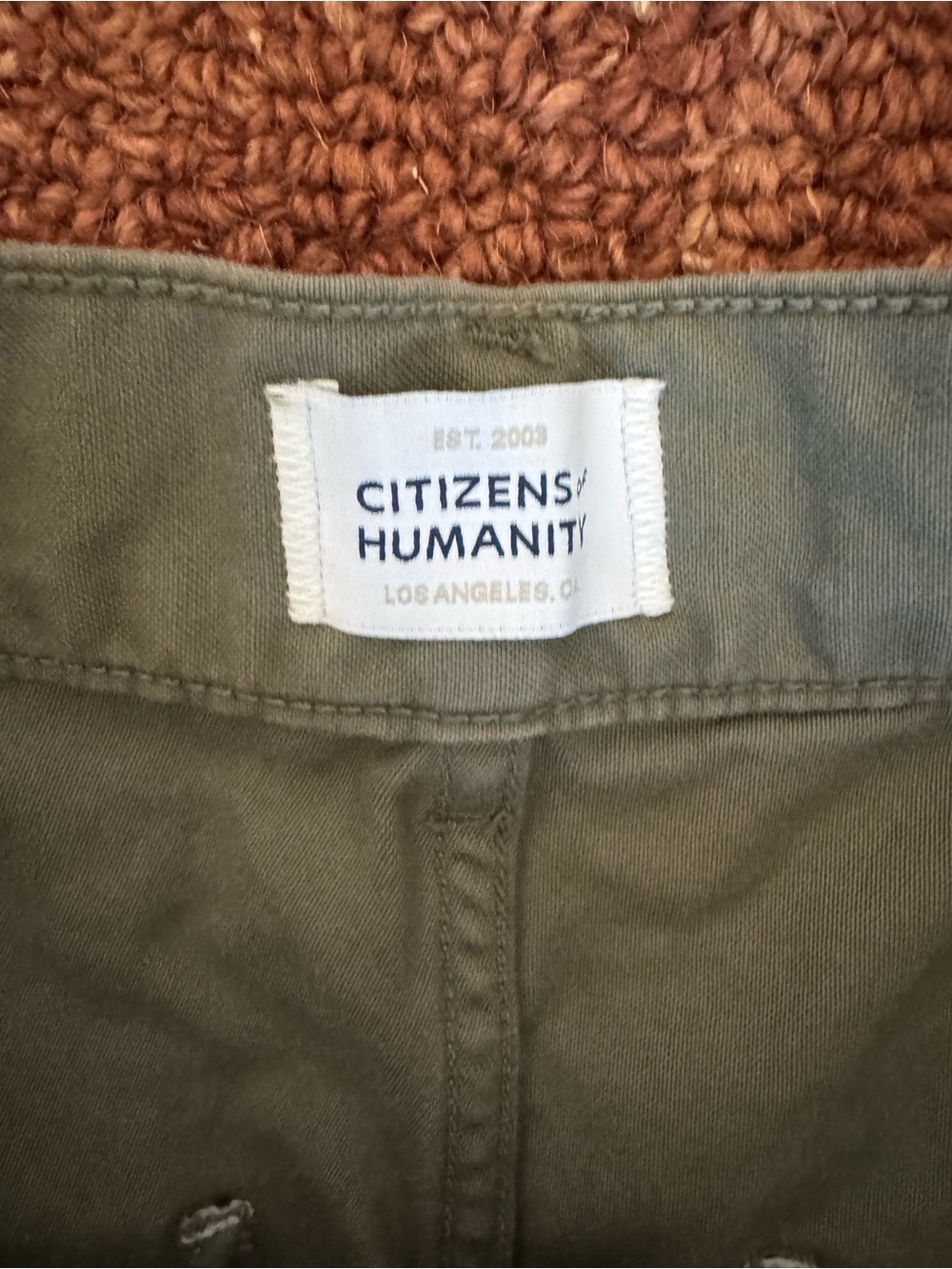 Citizens of Humanity Marcelle Low Slung Cargo Barrel Pants in Surplus - Picture 4 of 10